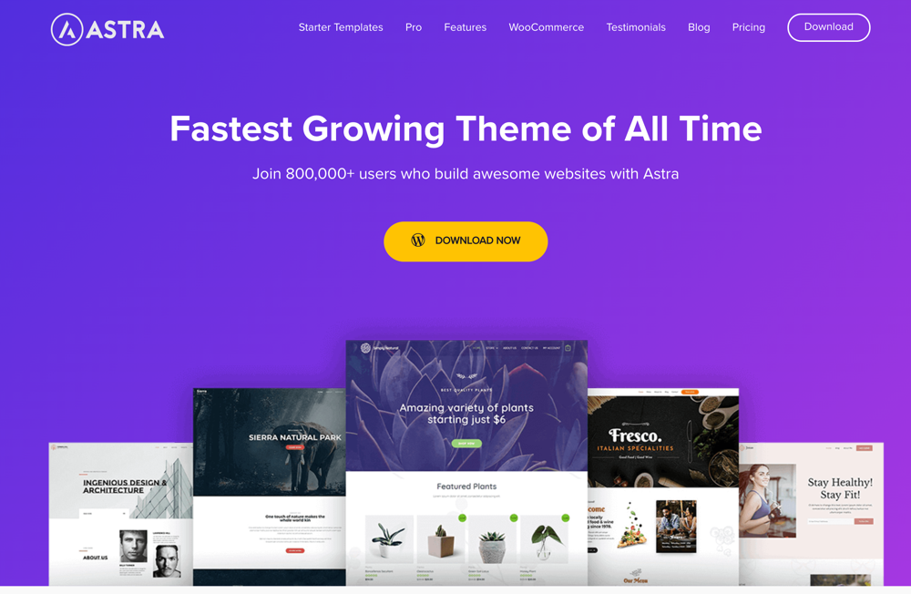 Astra WordPress theme + plugin